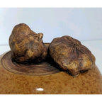 Ellen Evans Terrafirma Pottery Lid 1998 Garlic Brown Stoneware