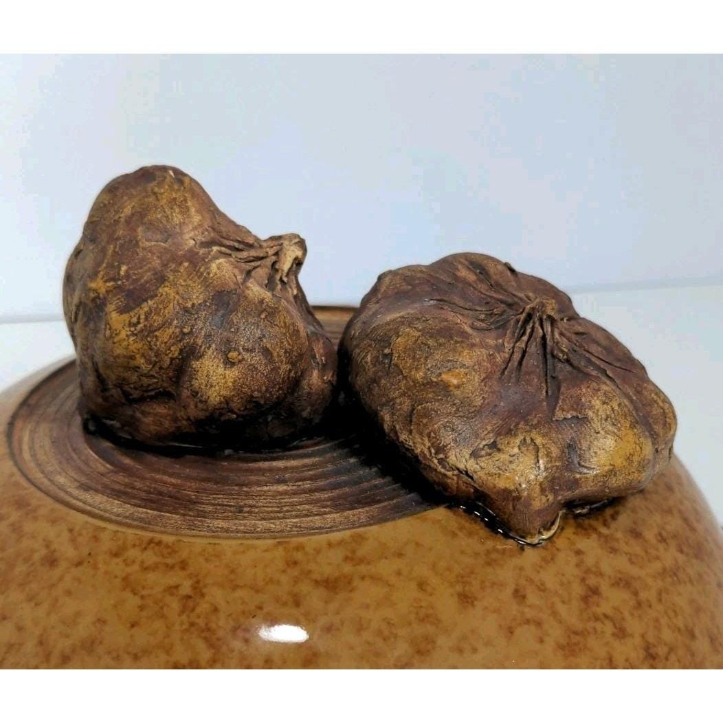 Ellen Evans Terrafirma Pottery Lid 1998 Garlic Brown Stoneware