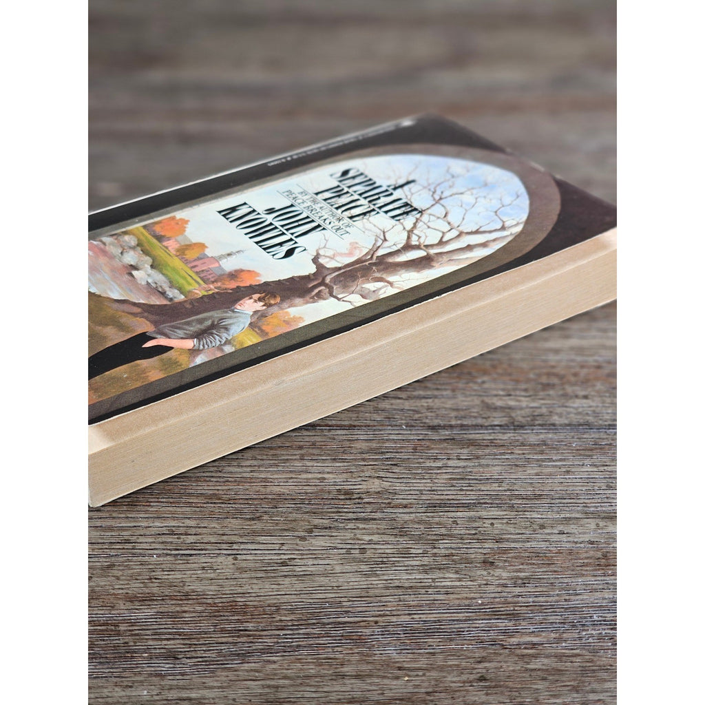 A Separate Peace John Knowles Bantam 1988 Paperback Vintage Novel