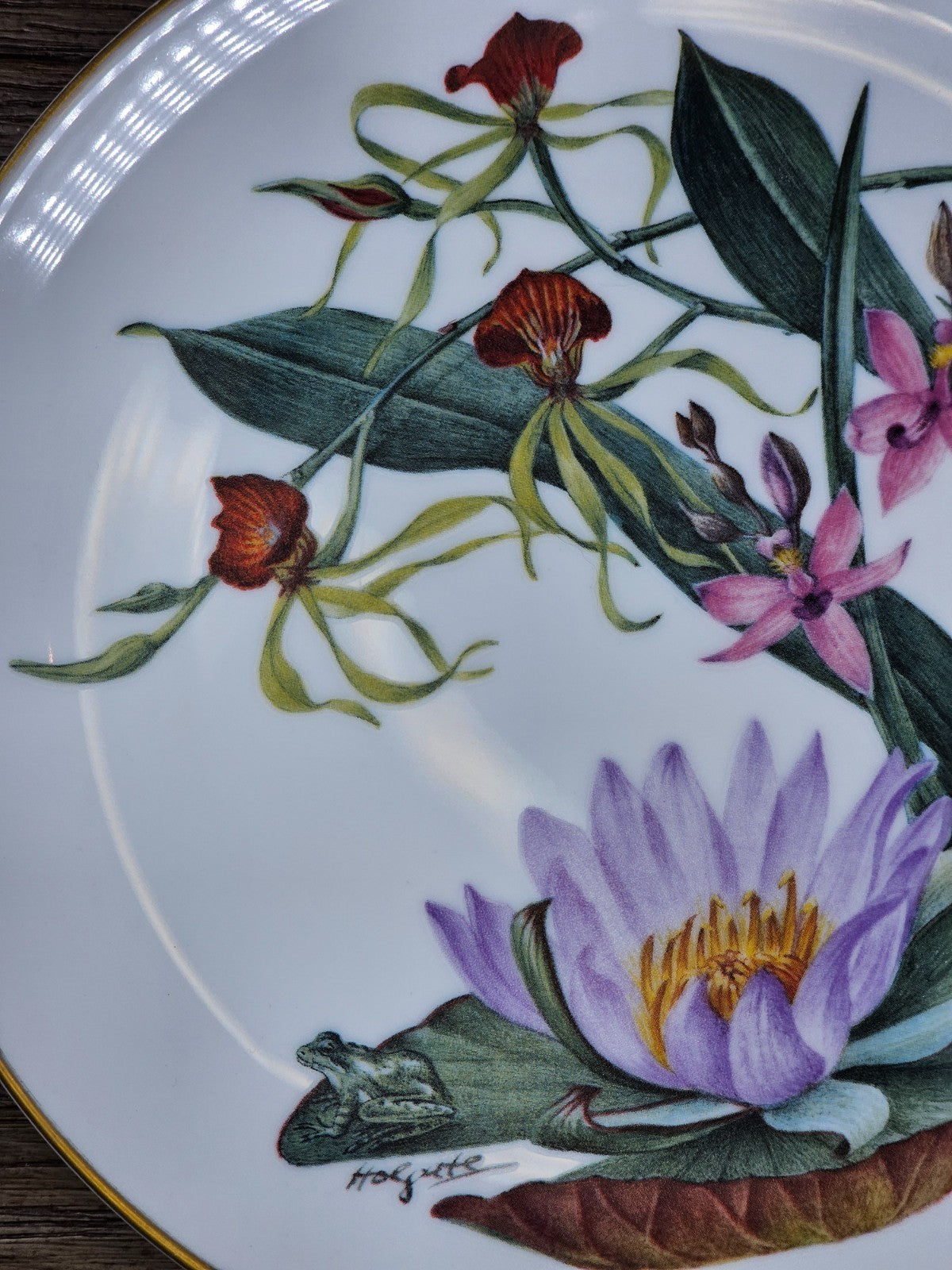 Franklin Mint – Sierra Club “Wildflowers of the Florida Everglades” Plate