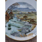 Vintage Franklin Porcelain Plate A Secluded Stream in November 1979