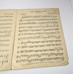 Antique 1916 Mandolin & Guitar Collection No. 17a – Louis Tocaben