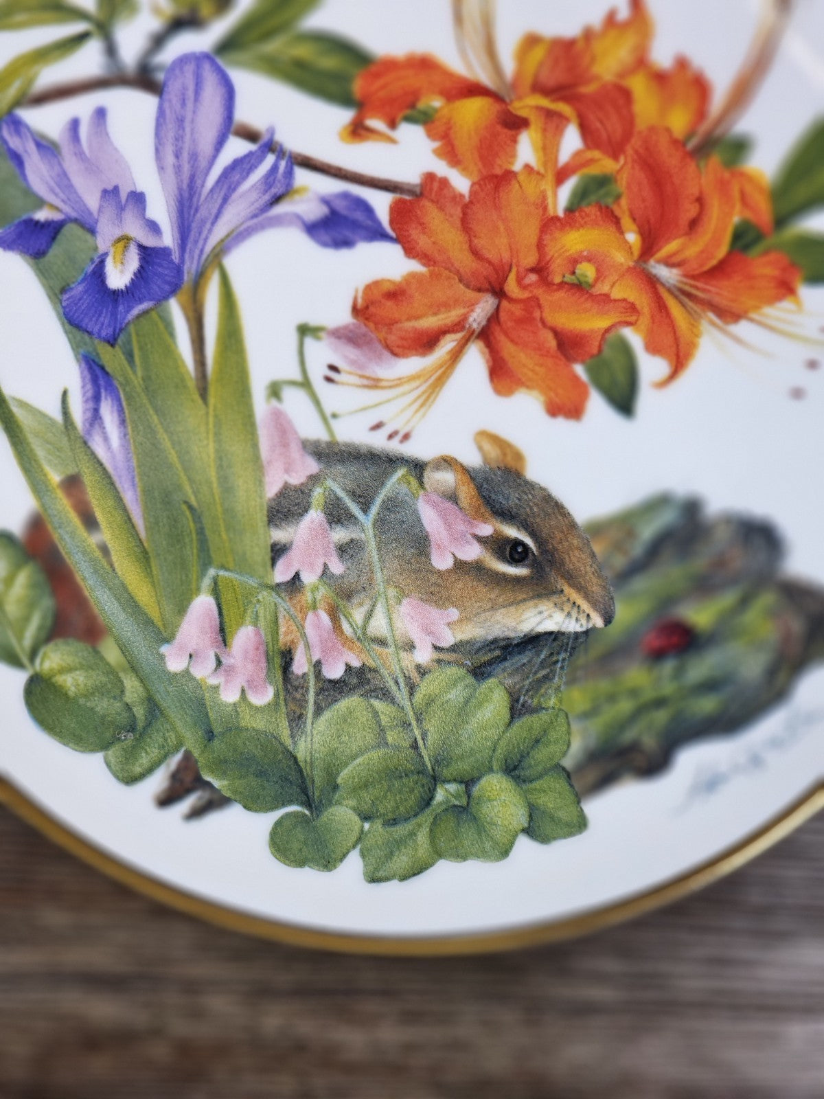 Franklin Mint Sierra Club Appalachian Wildflowers Collector Plate 1978