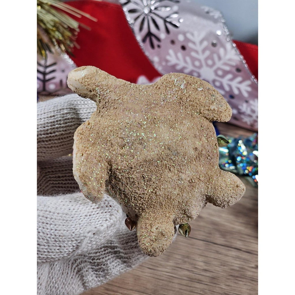 Midwest CBK Sea Turtle Ornament Sandy Coastal Christmas Decor