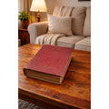 Vintage Red Hardcover Dictionary Volume Two Buck Mark to Zymurgy