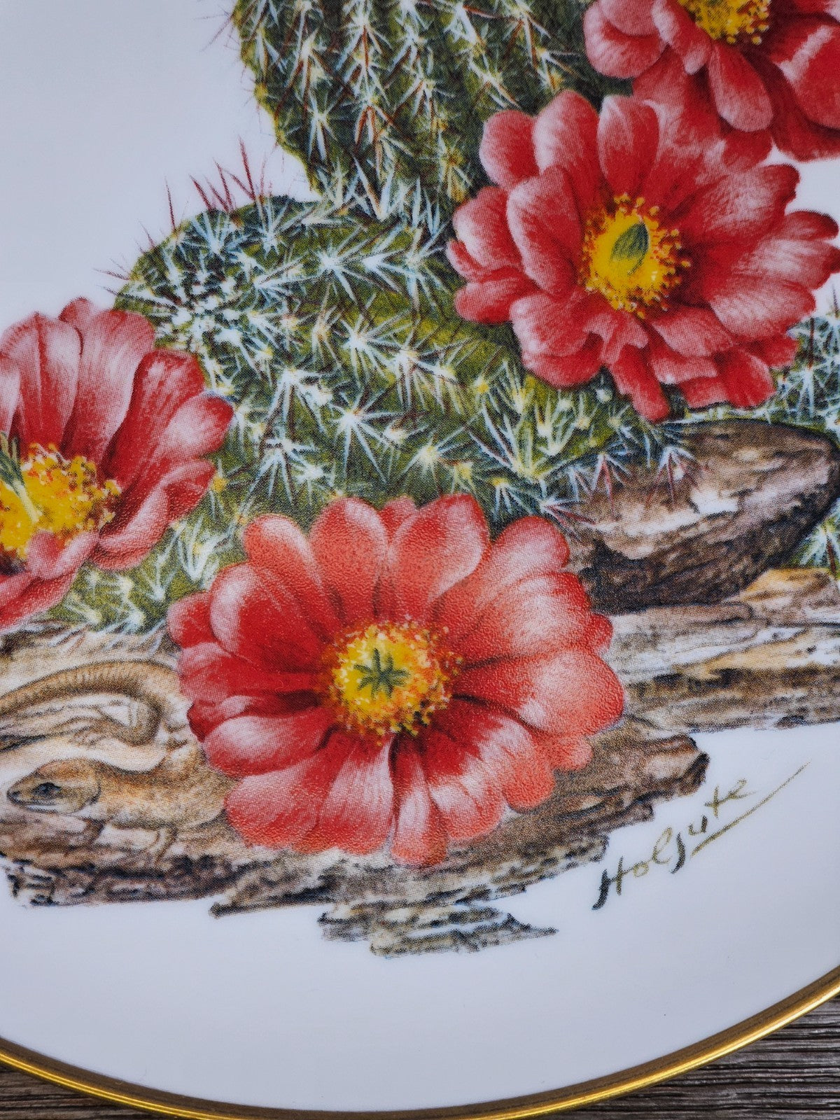 Franklin Mint Sierra Club Wildflowers of the Southwest Bavarian Plate 7.75"