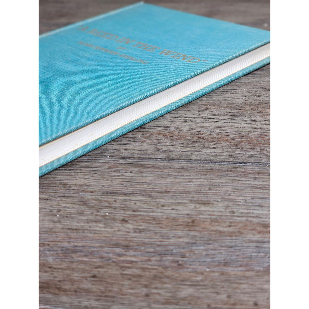 A Reed in the Wind 1970 First Edition Nora Kirwan Sterling HC