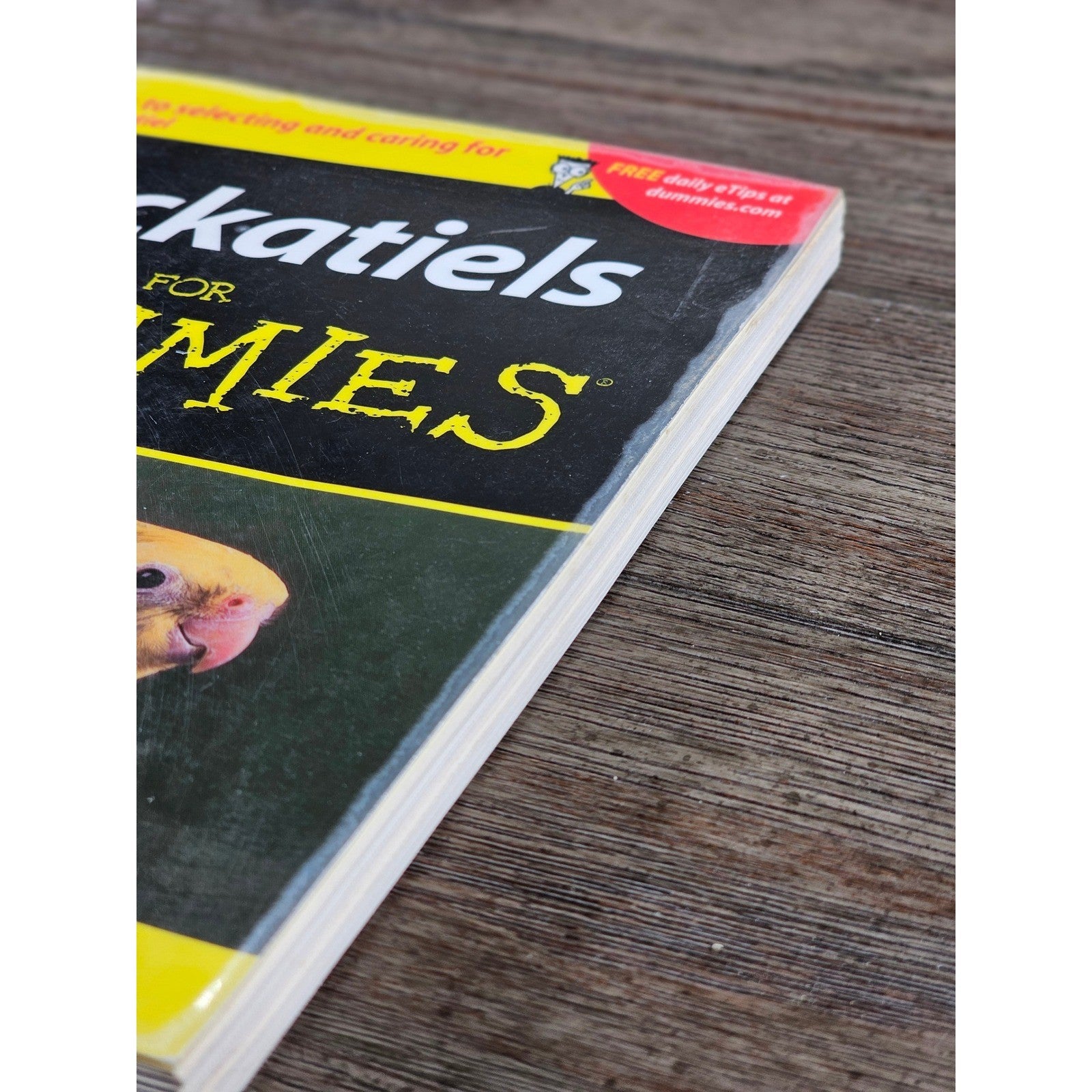 Cockatiels For Dummies by Diane Grindol 2001 Paperback Pet Care