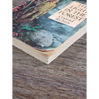 The Light in the Forest Conrad Richter Bantam 1968 Paperback