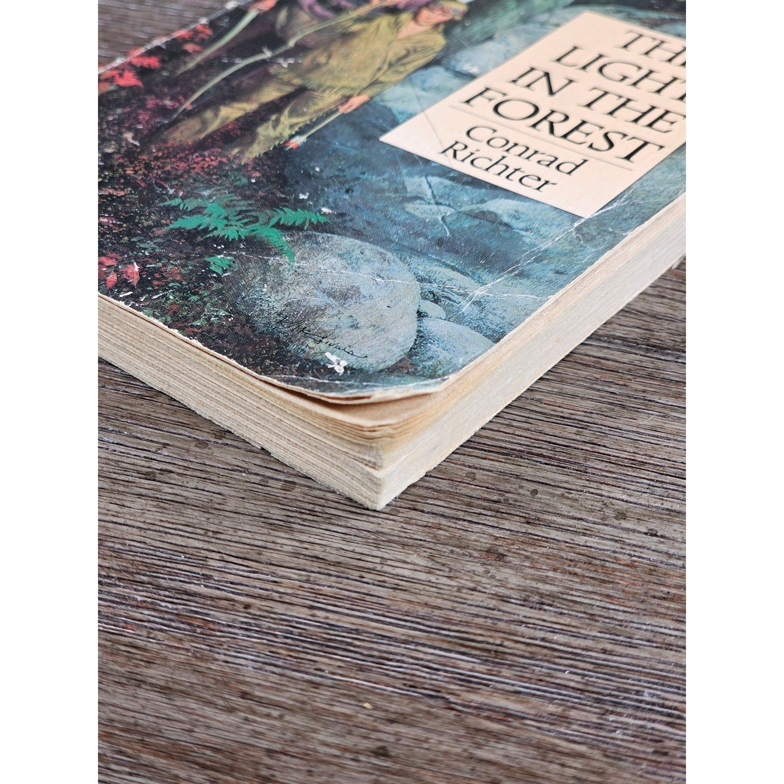 The Light in the Forest Conrad Richter Bantam 1968 Paperback