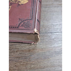 1880 Life of Zachariah Chandler Hardcover Detroit Post Tribune