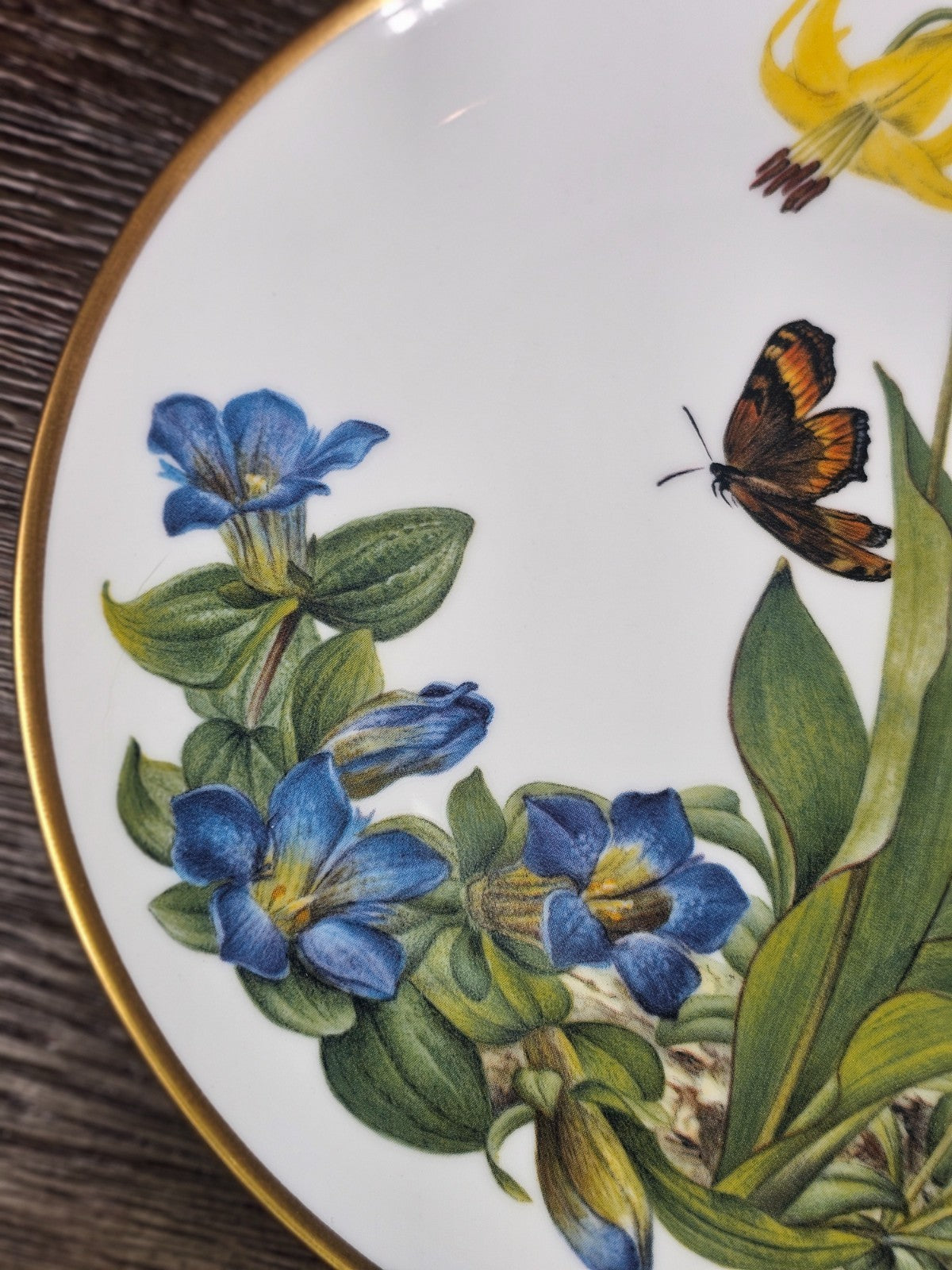 Franklin Mint Sierra Club Wildflowers of the Rocky Mountains Plate 1978