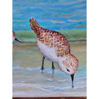 Original Coastal Sandpiper Acrylic Painting on Canvas Signed OOAK Wall Art