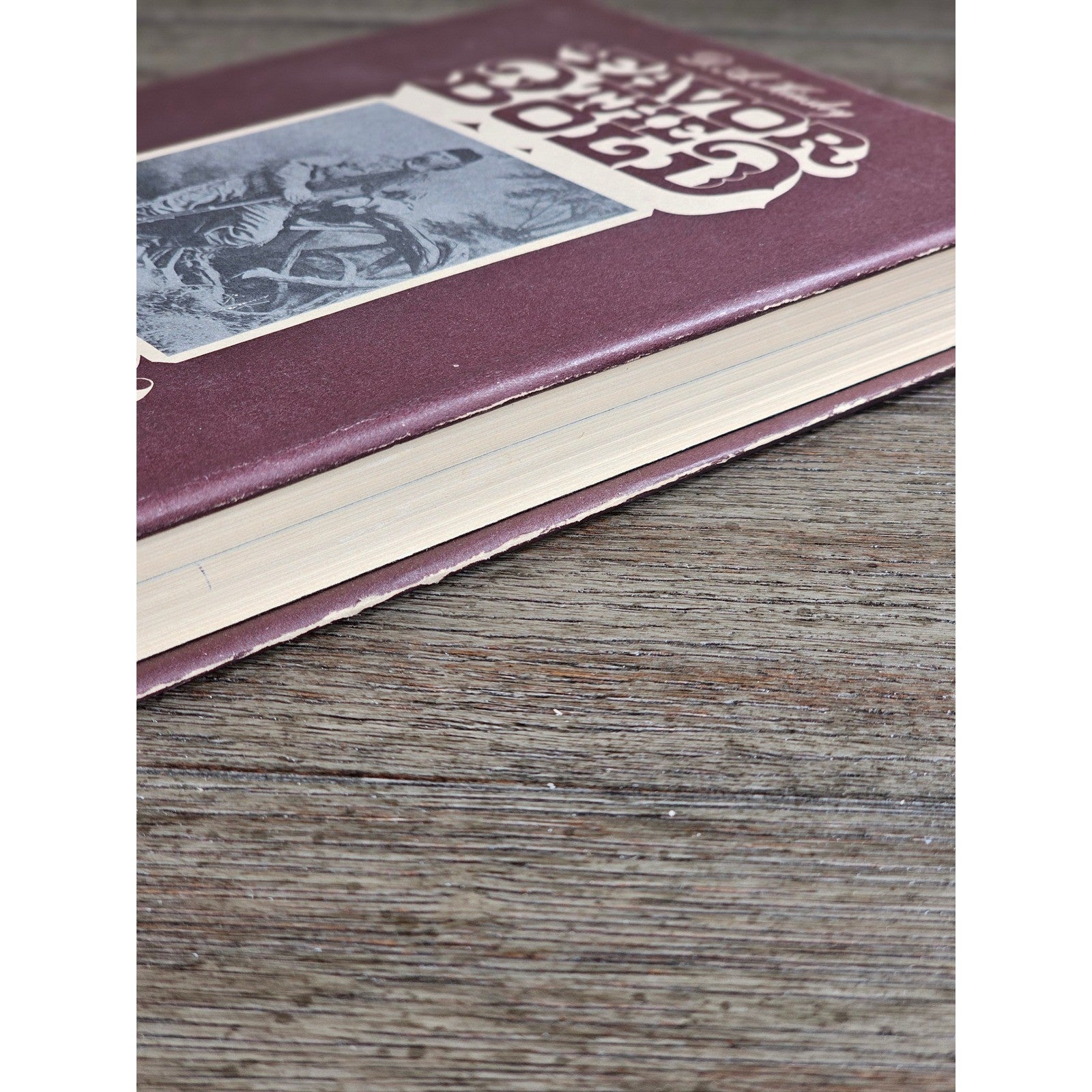 Savor the Bold Custer Indian Fighter Vol 2 1968 First Edition HC