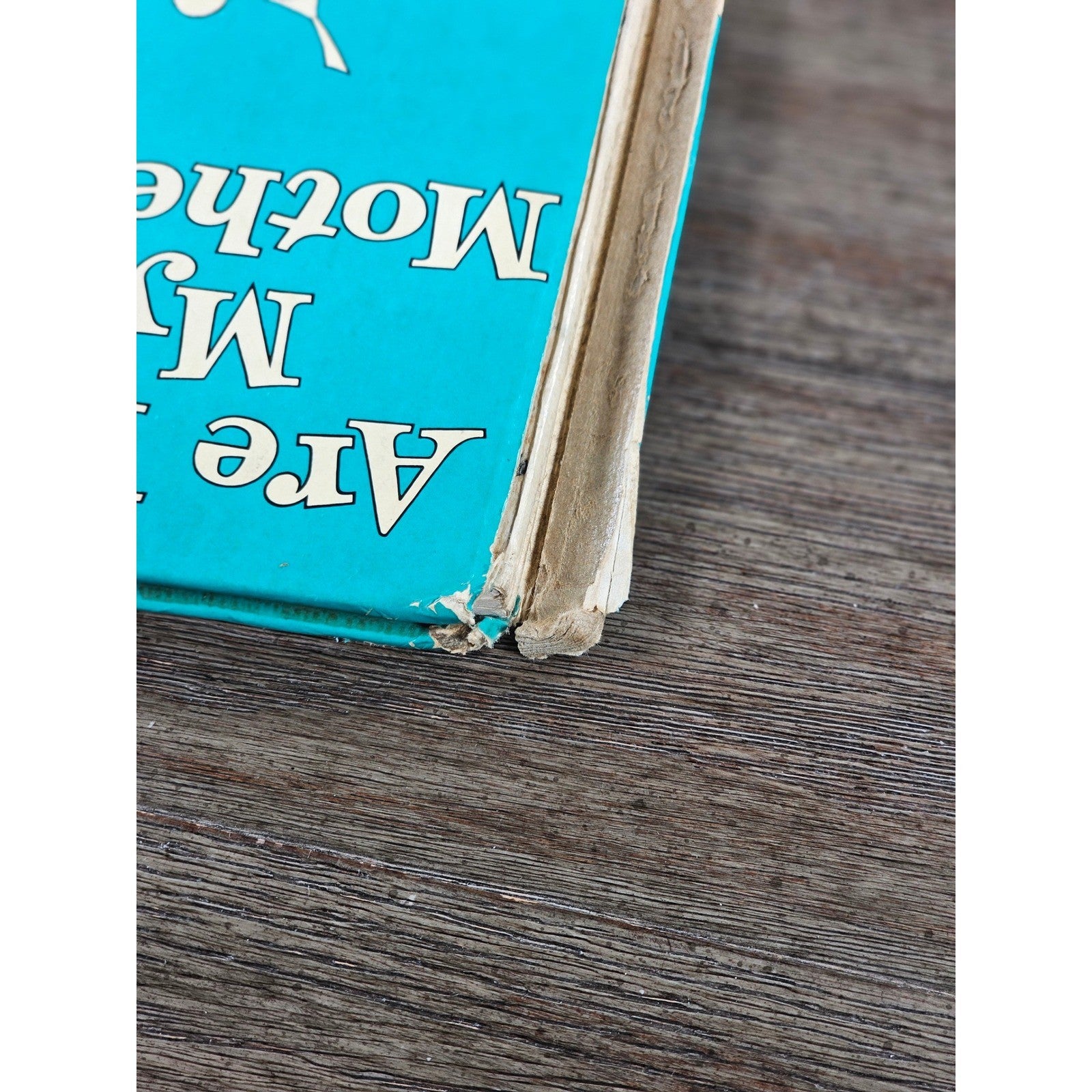 Are You My Mother 1960 P.D. Eastman Beginner Book