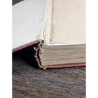 My Dogs in the Northland 1902 Egerton R Young Illustrated Book