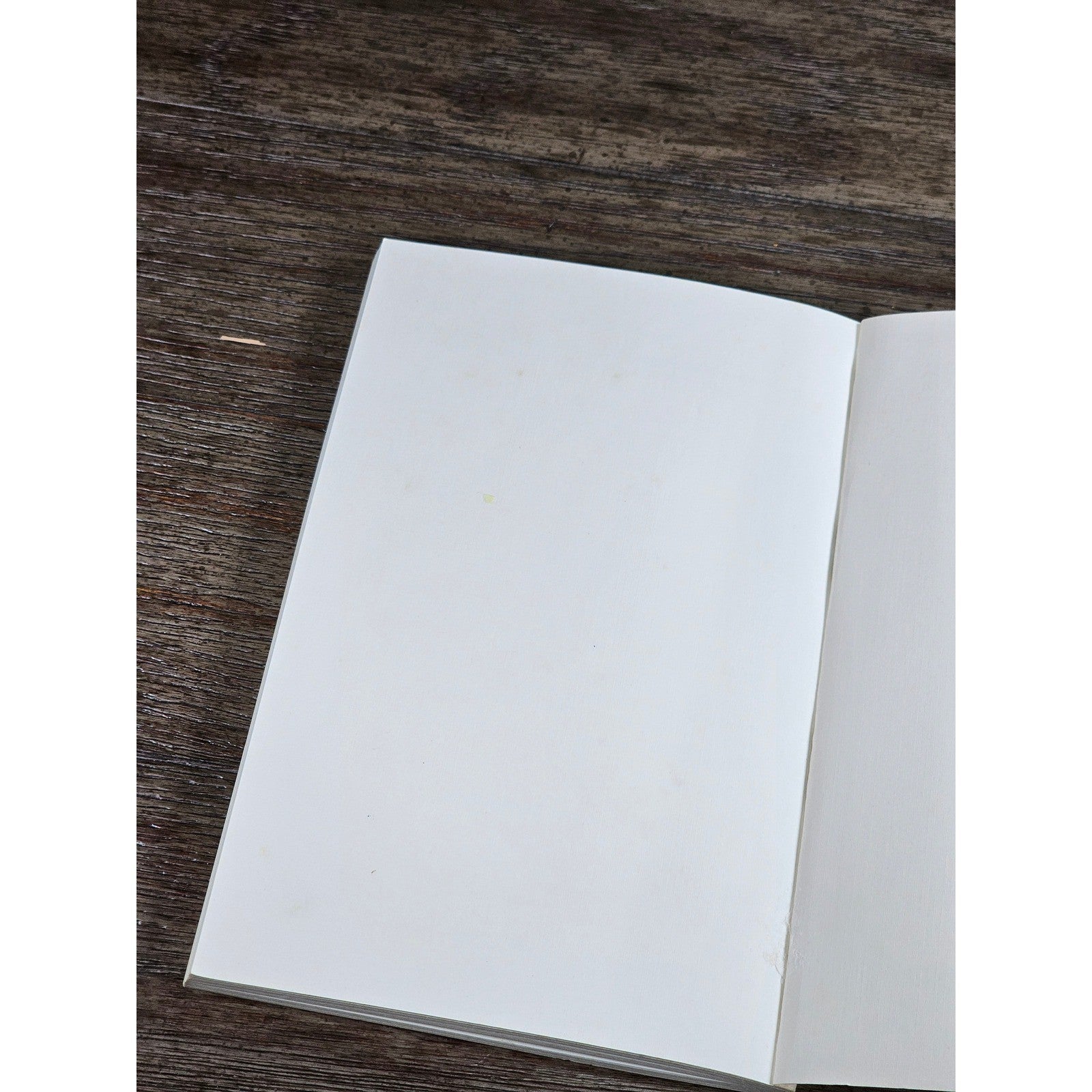 A Cackling Hen Louise Bashford Hunt 1990 NC Local Columns Book