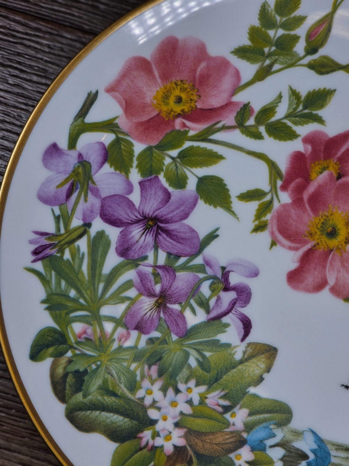 Cape Cod Wildflowers Plate – Franklin Porcelain Sierra Club 1978
