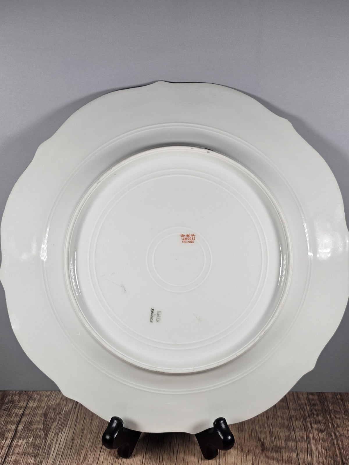 Royal ELITE  Limoges France 9.5" round Plate