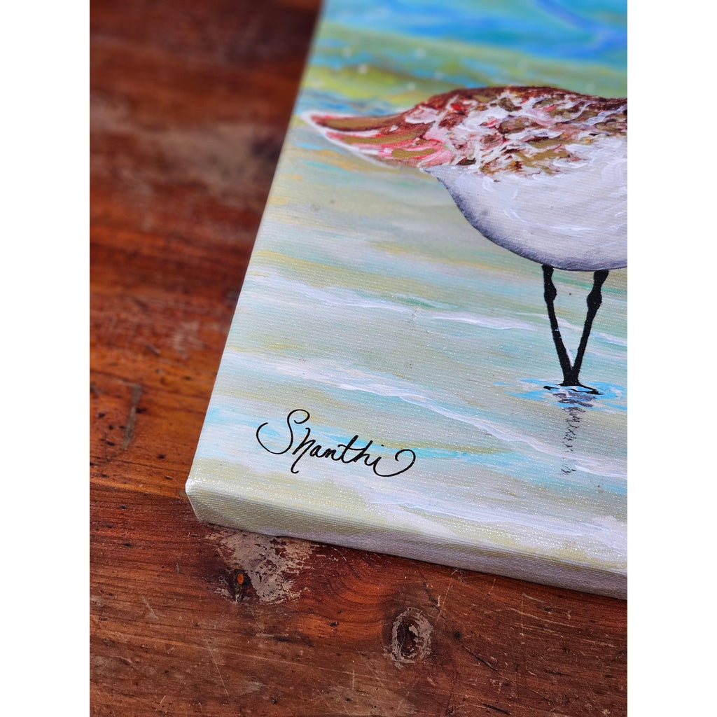 Original Coastal Sandpiper Acrylic Painting on Canvas Signed OOAK Wall Art