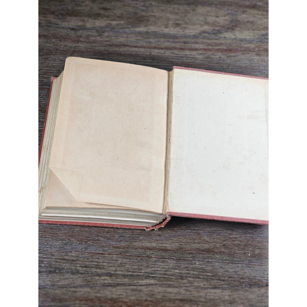 My Dogs in the Northland 1902 Egerton R Young Illustrated Book