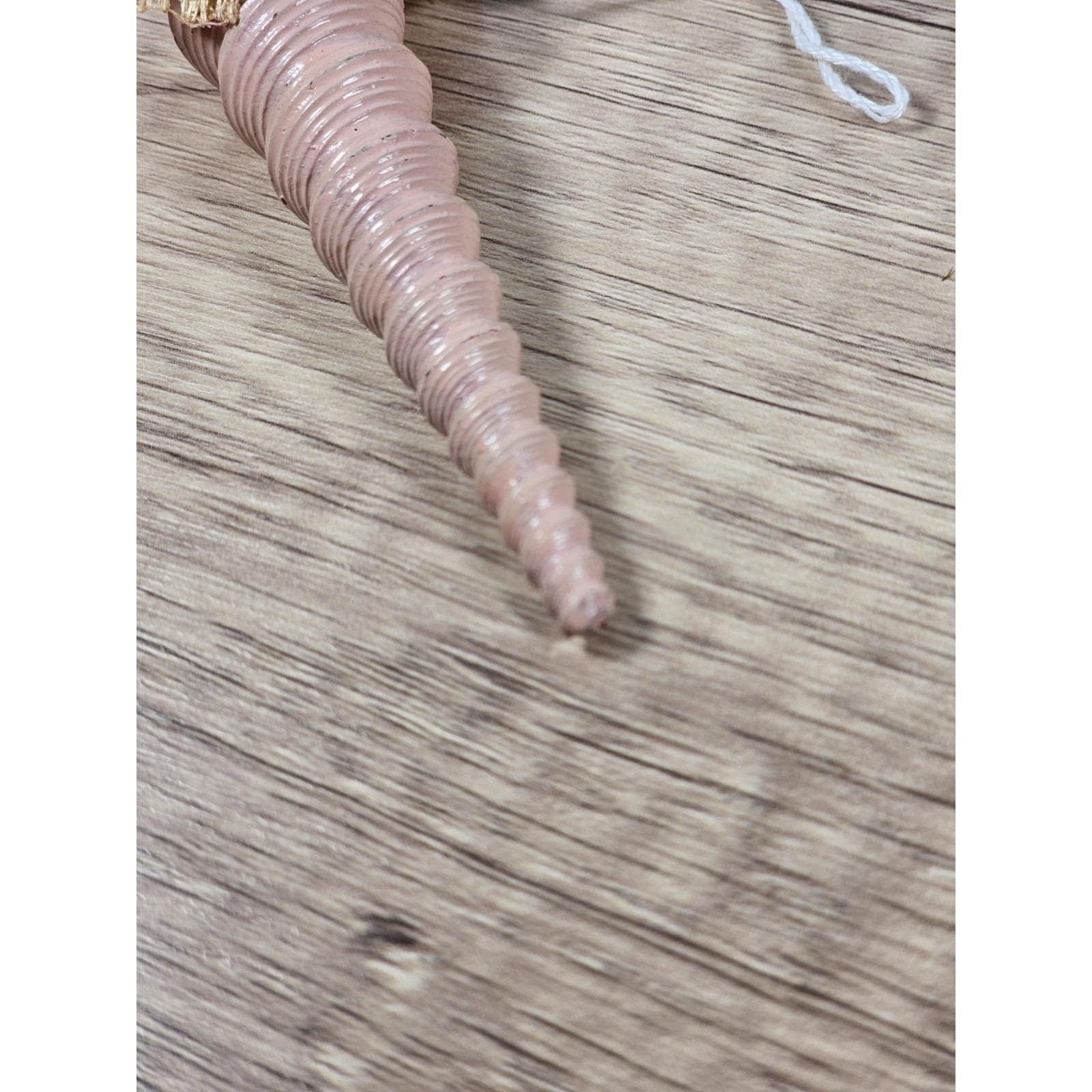 Vintage Pink Shell Christmas Ornament Gold Bow Rose 4 Inch