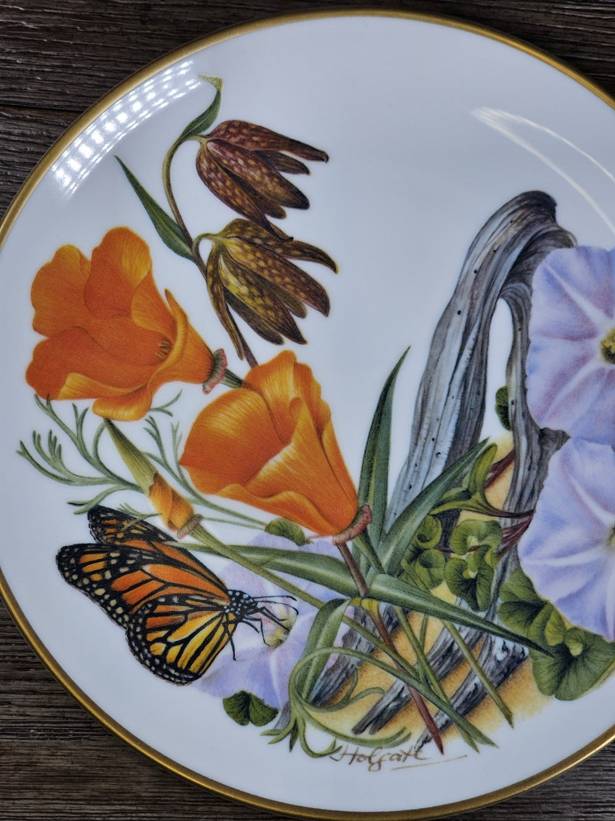 VTG Sierra Club Plate California Wildflowers Poppy Morning Glory Monarch 1978