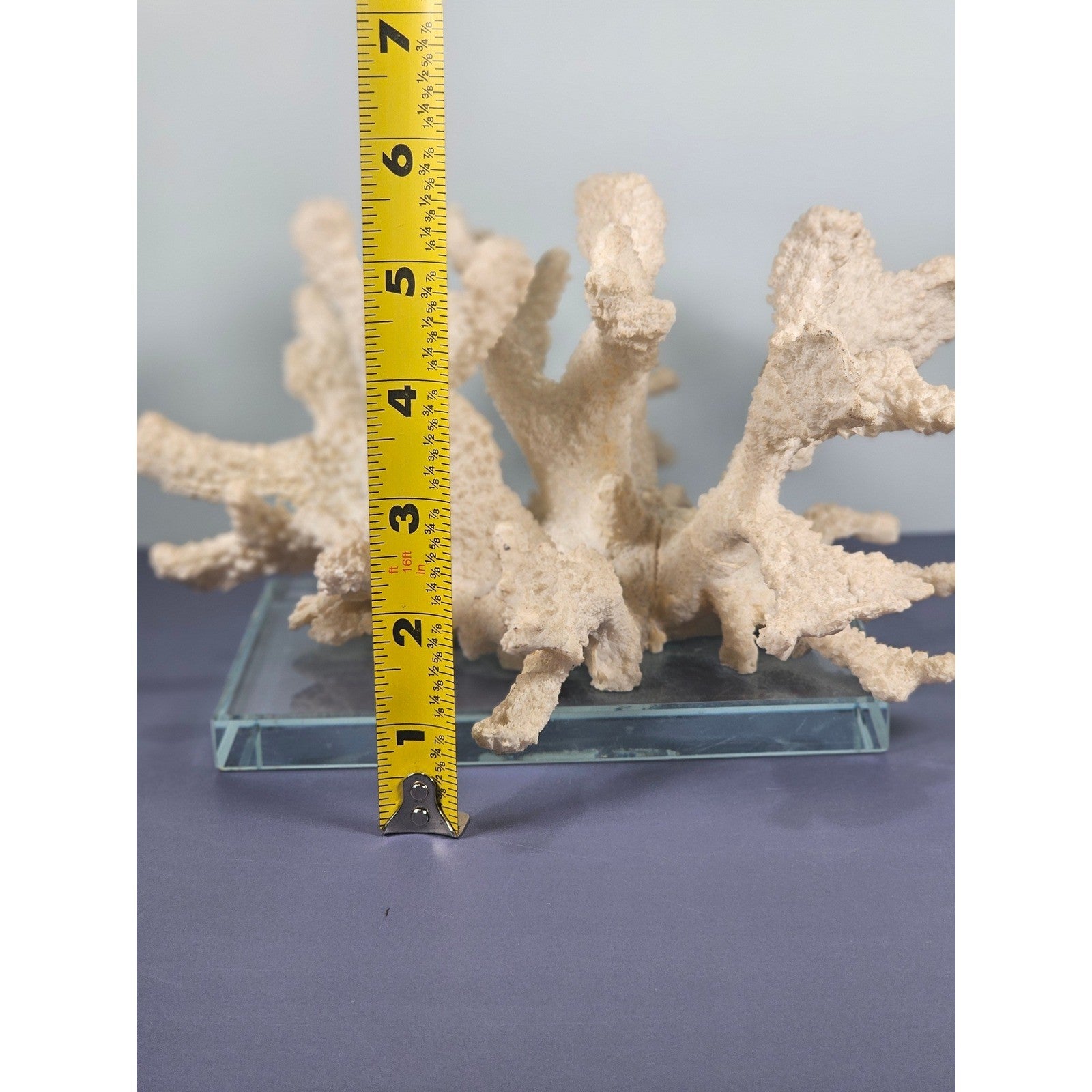 Natural Coral Sculpture on Glass Base | Vintage Coastal Decor