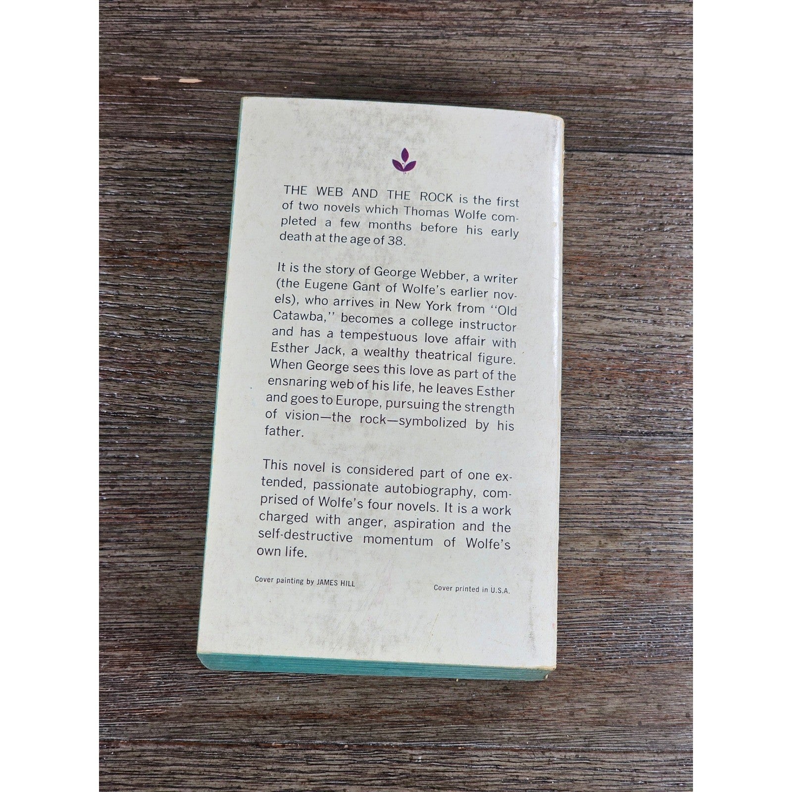 The Web and the Rock Thomas Wolfe 1960 Dell Paperback Vintage