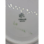 Vintage RC Versailles Bavaria Floral Plate 6" Hand Painted Porcelain