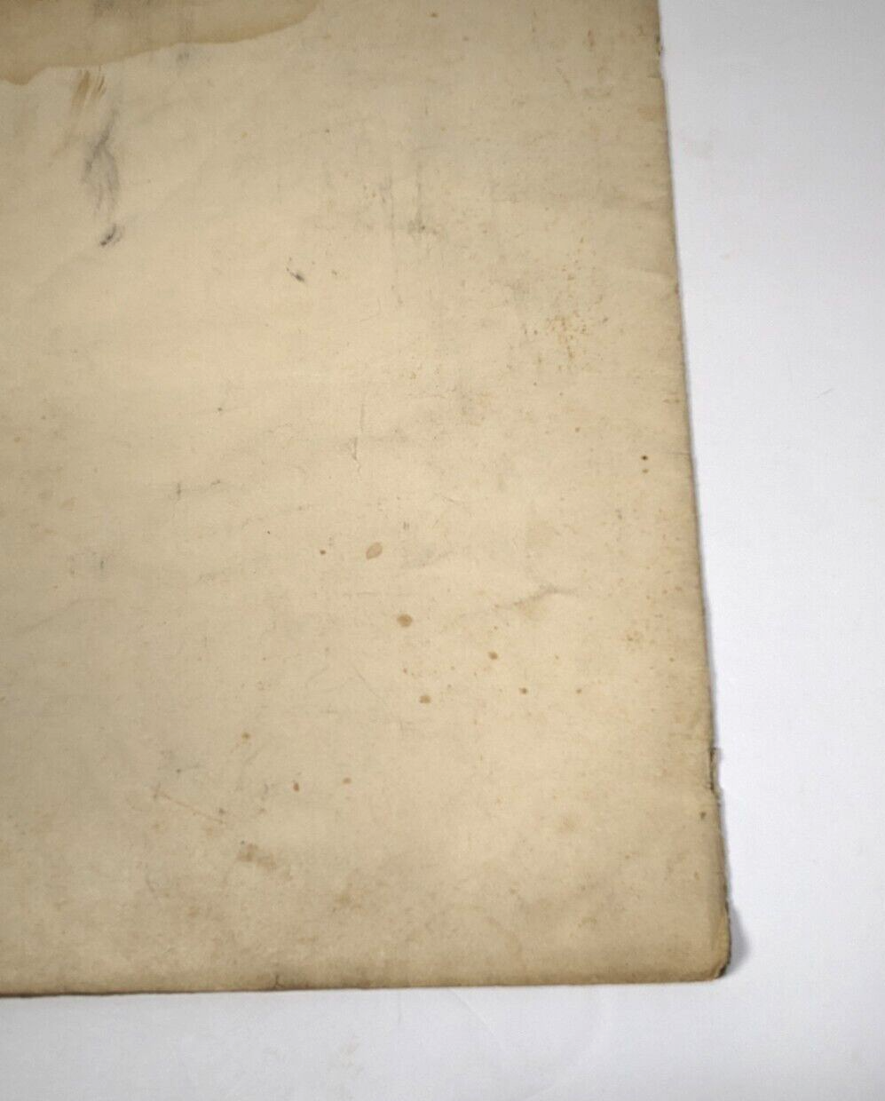 Antique 1916 Mandolin & Guitar Collection No. 17a – Louis Tocaben