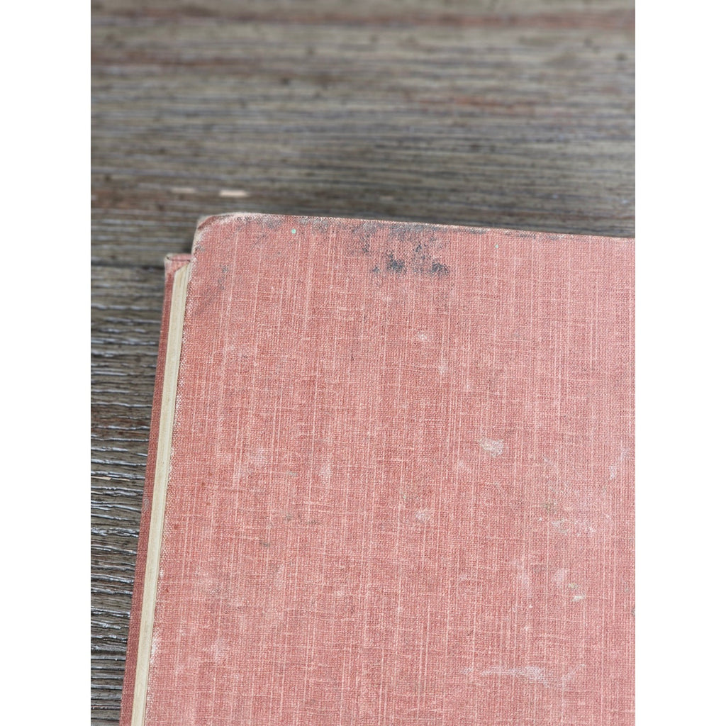 My Dogs in the Northland 1902 Egerton R Young Illustrated Book