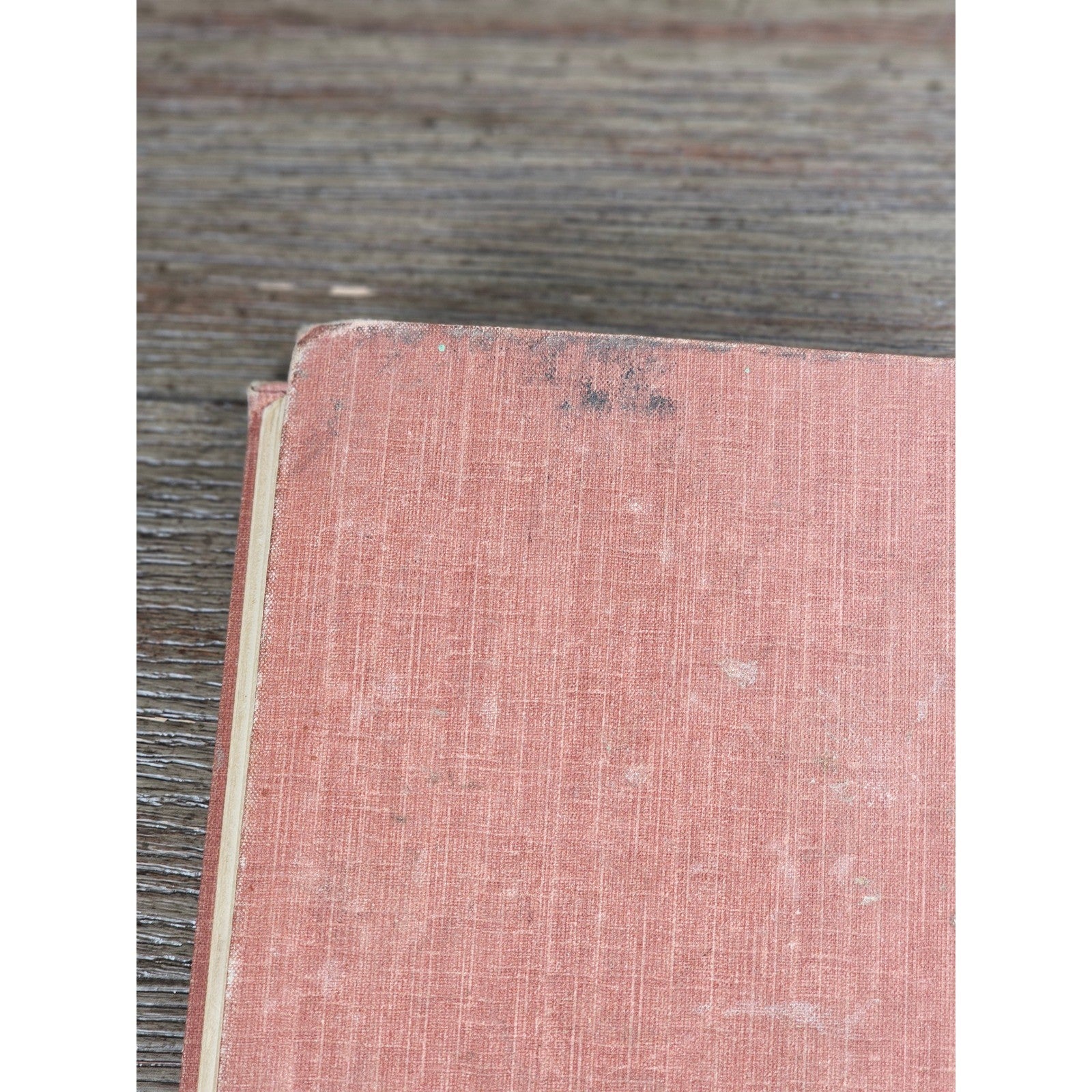 My Dogs in the Northland 1902 Egerton R Young Illustrated Book