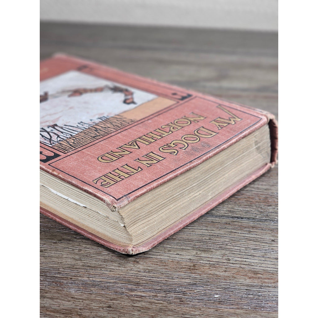 My Dogs in the Northland 1902 Egerton R Young Illustrated Book
