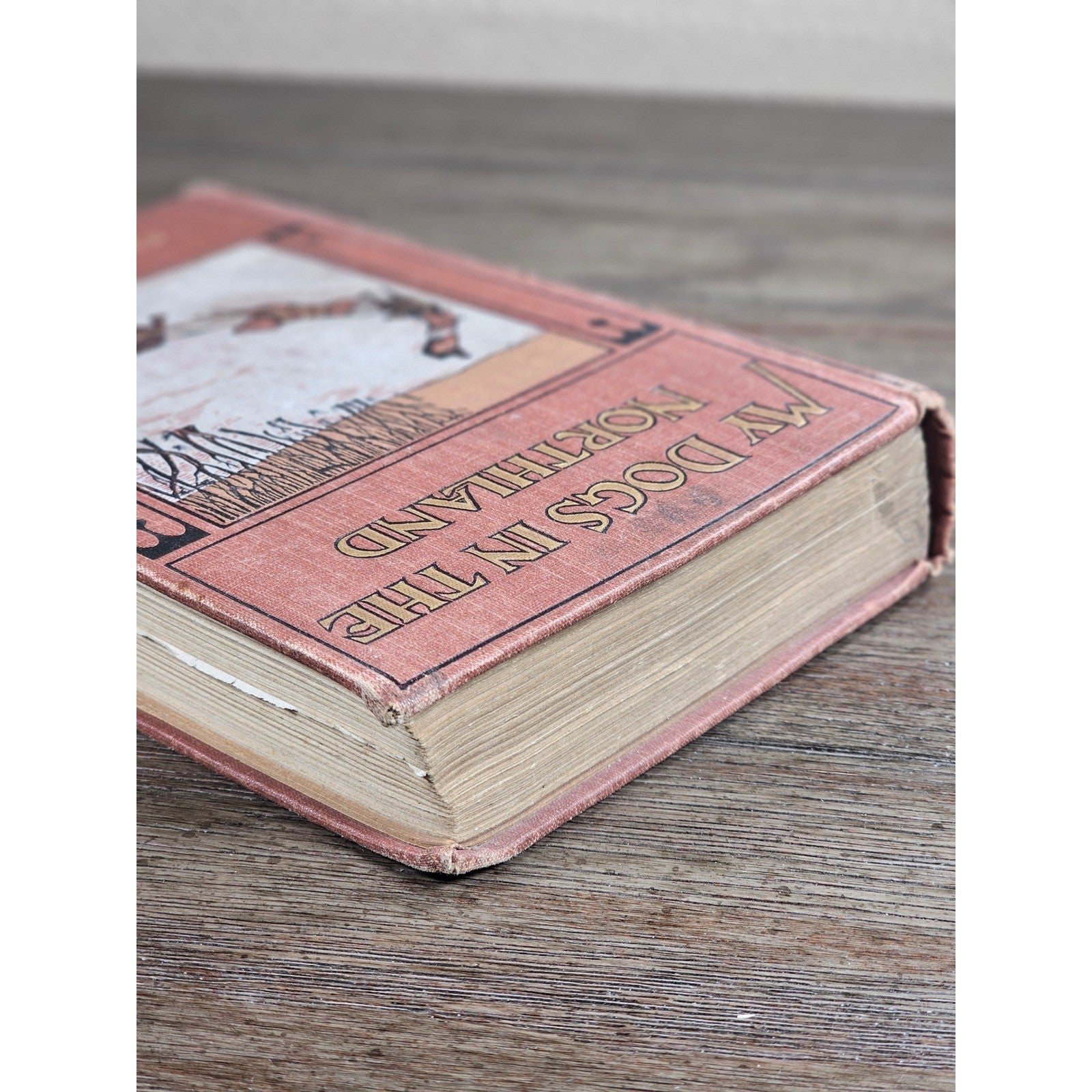 My Dogs in the Northland 1902 Egerton R Young Illustrated Book