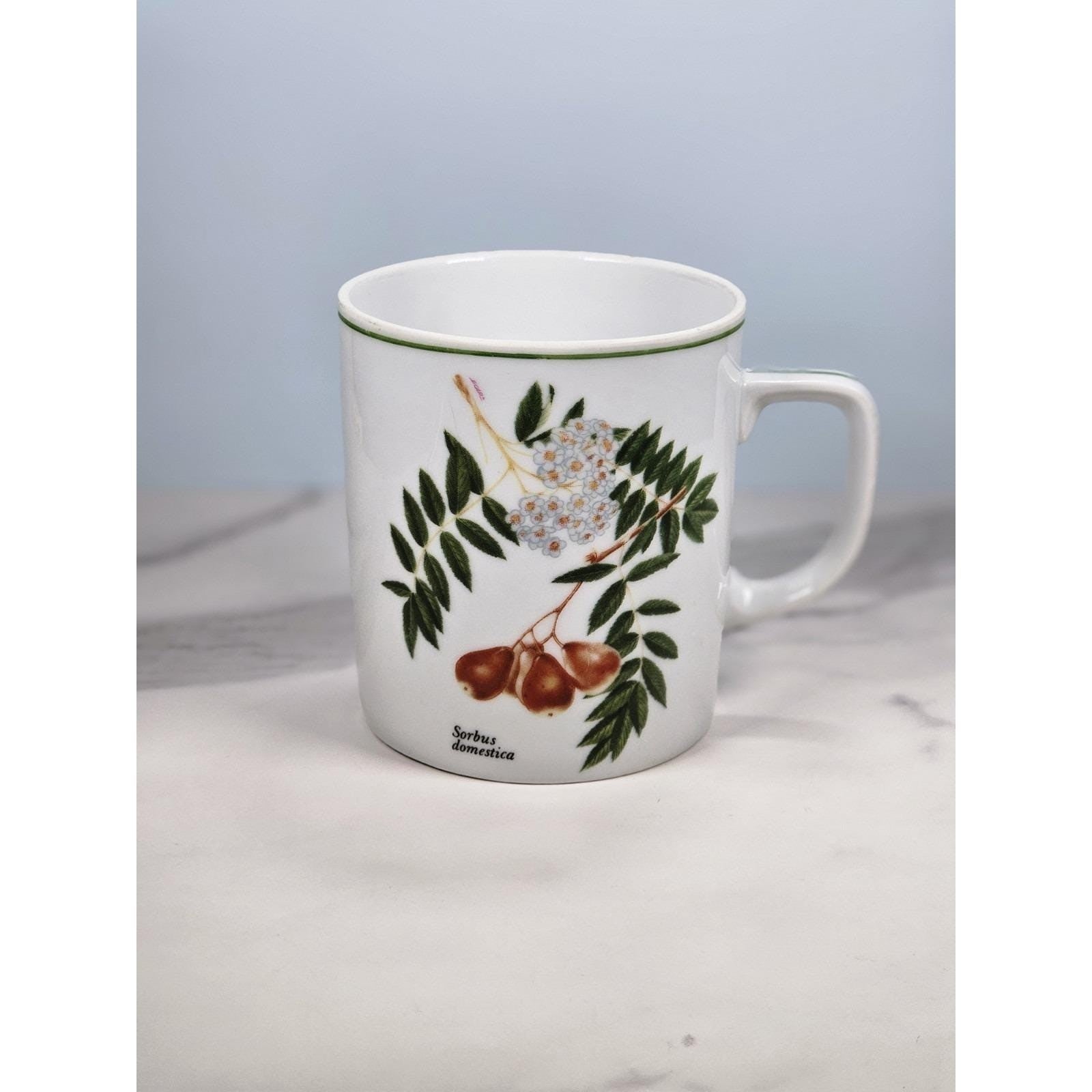 Vintage Lourioux French Porcelain Botanical Mug Sorbus Aucuparia
