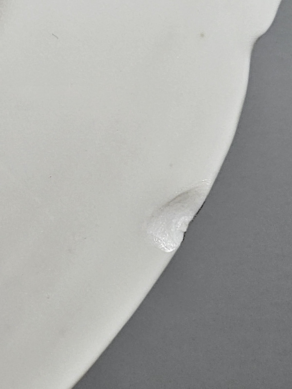 11″ Austria Floral Plate Platter Vintage Porcelain Hand-Painted Gold Trim Rustic