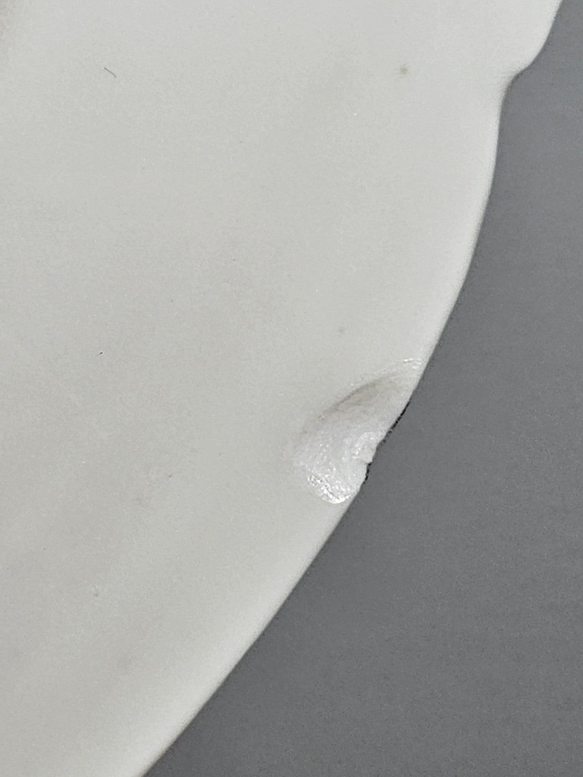 11″ Austria Floral Plate Platter Vintage Porcelain Hand-Painted Gold Trim Rustic