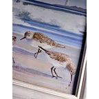Jacqueline Penney Coastal Shorebirds Lighthouse Framed Art Signed