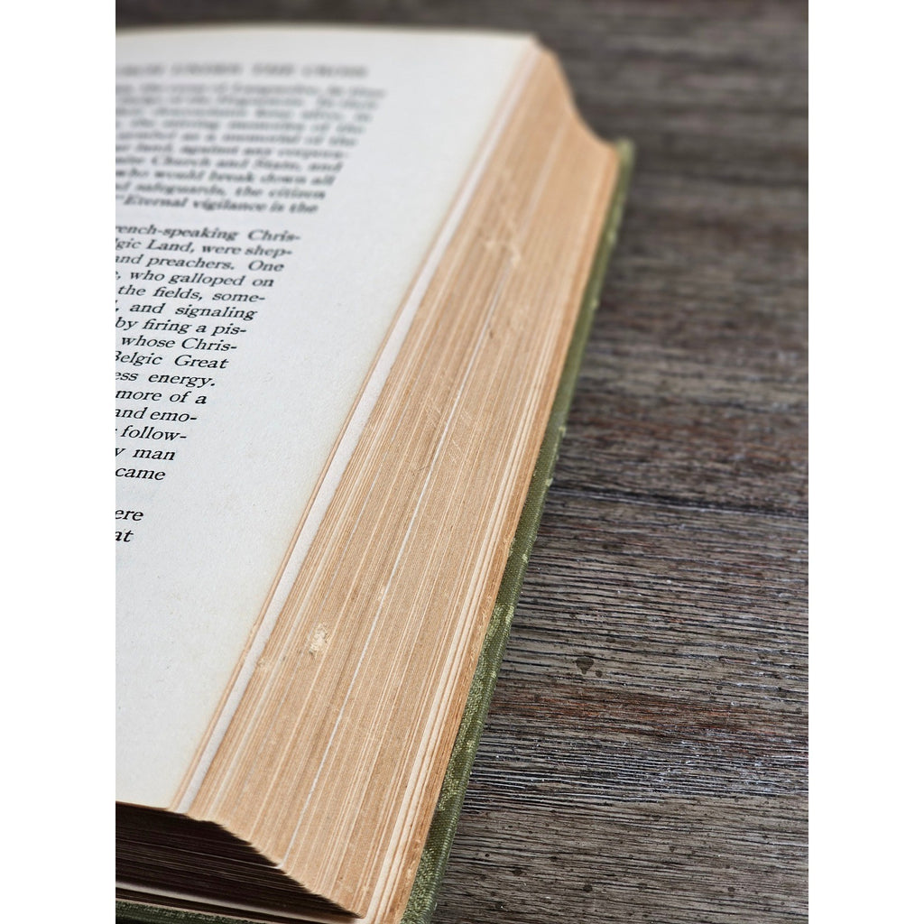 1923 The Story of the Walloons William Elliot Griffis HC History