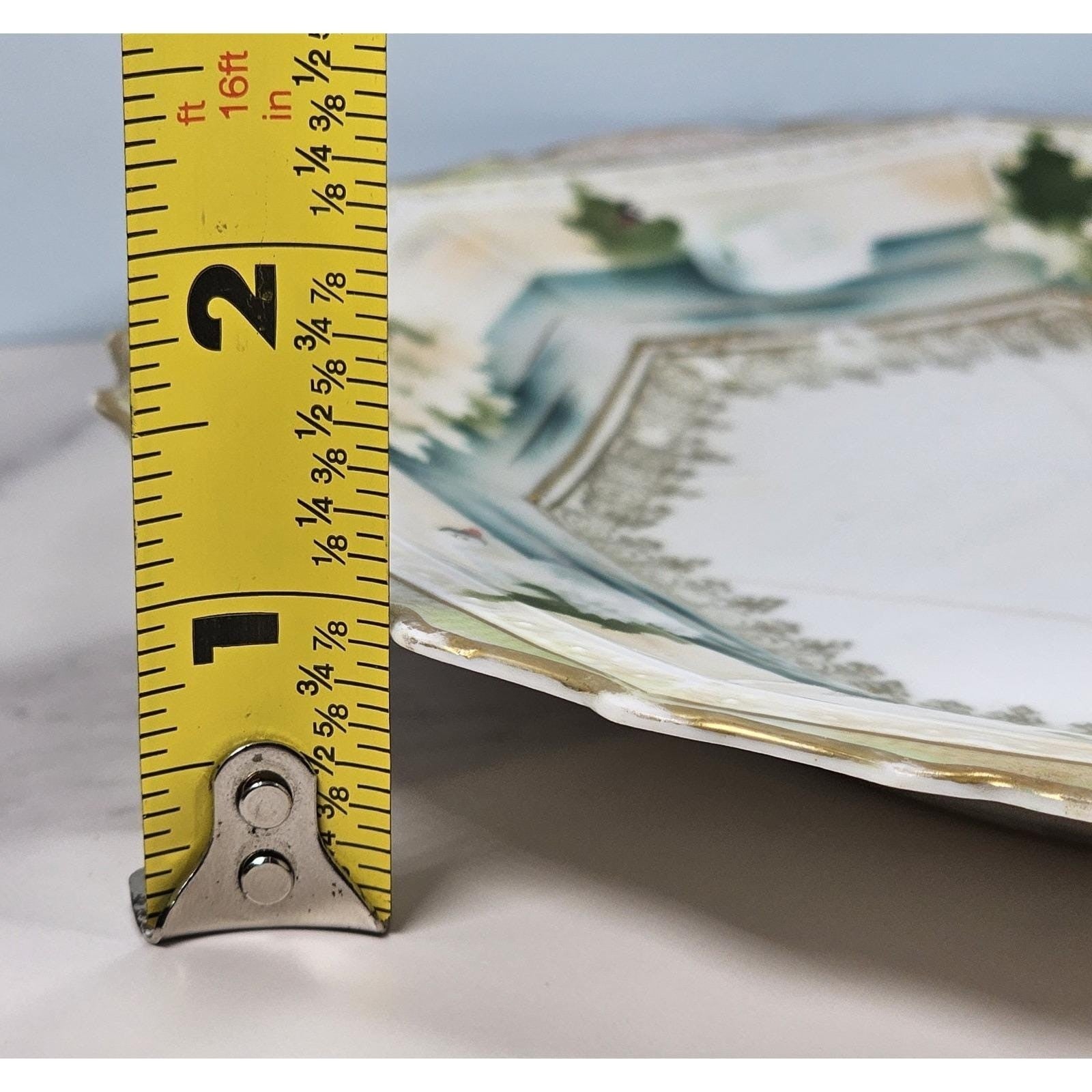 Vintage RS Prussia Octagonal Plate Hand Painted Swans Floral Germany READ