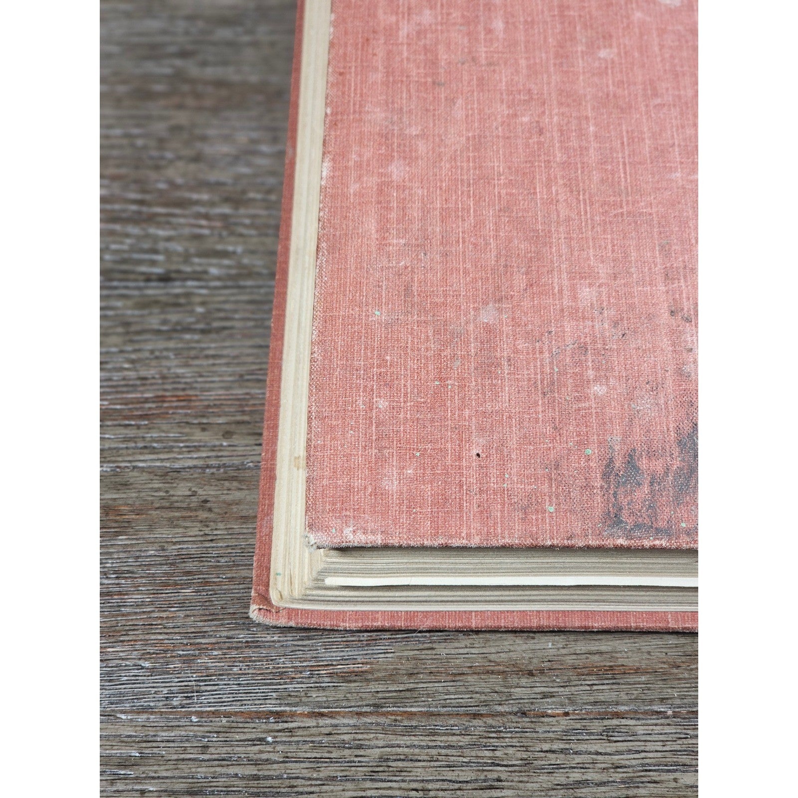 My Dogs in the Northland 1902 Egerton R Young Illustrated Book