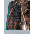 Signed Foods of Tuscany Cookbook Giuliano Bugialli Italian Cookbook