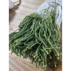 Yarn Tassel Garland Multicolor Decor Yellow Pink Green