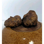Ellen Evans Terrafirma Pottery Lid 1998 Garlic Brown Stoneware