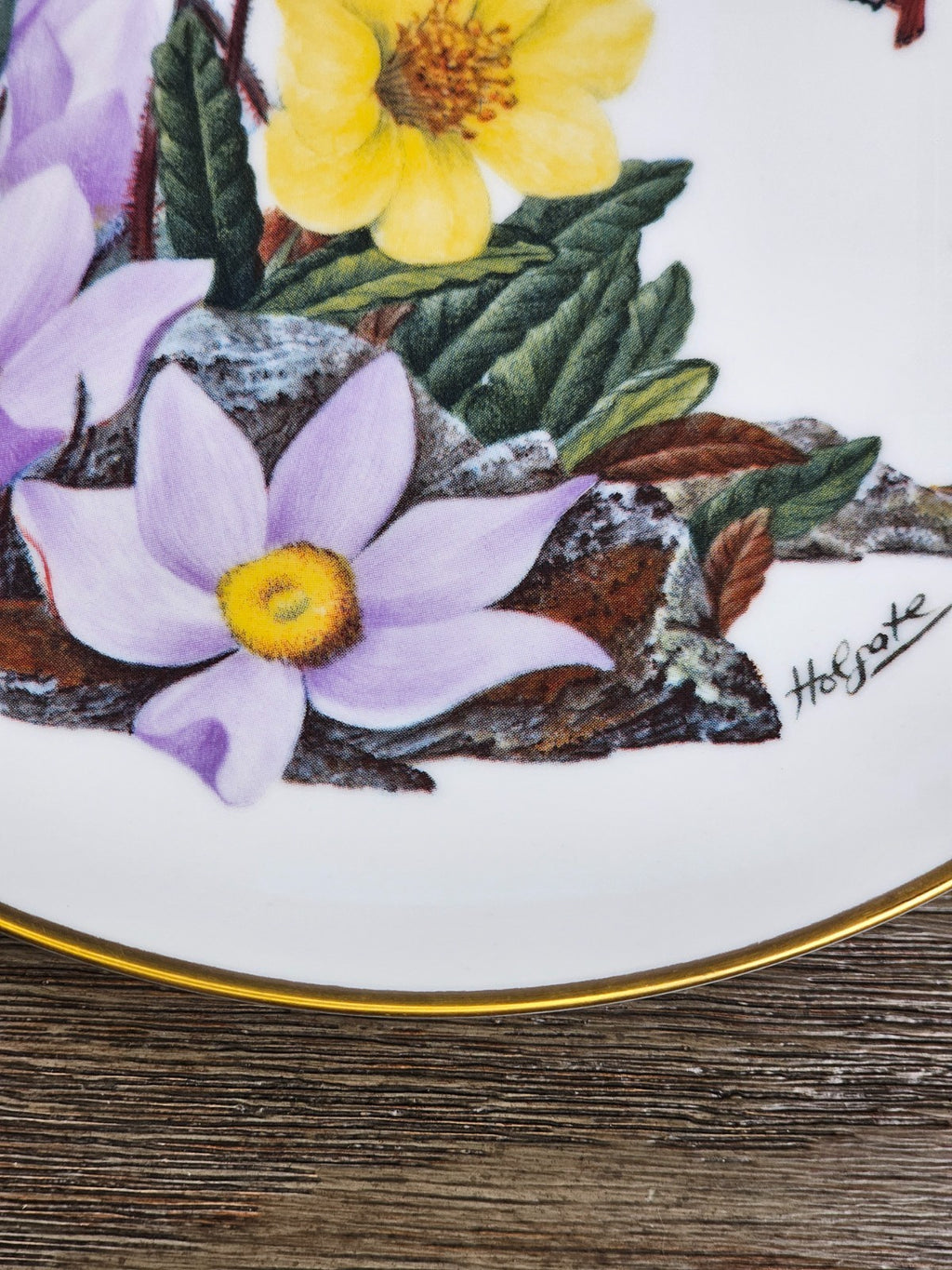 1978 Alaskan Wildflowers Plate – Sierra Club Wilderness Series – Franklin Porcel