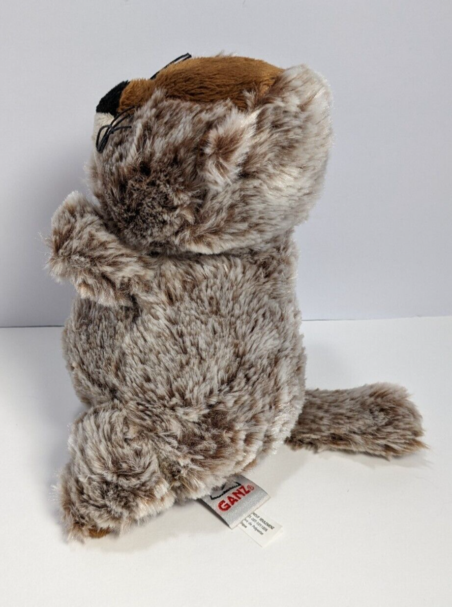 Ganz Webkinz Retired HM179 Stuffed Groundhog Animal 8" Plush No Code