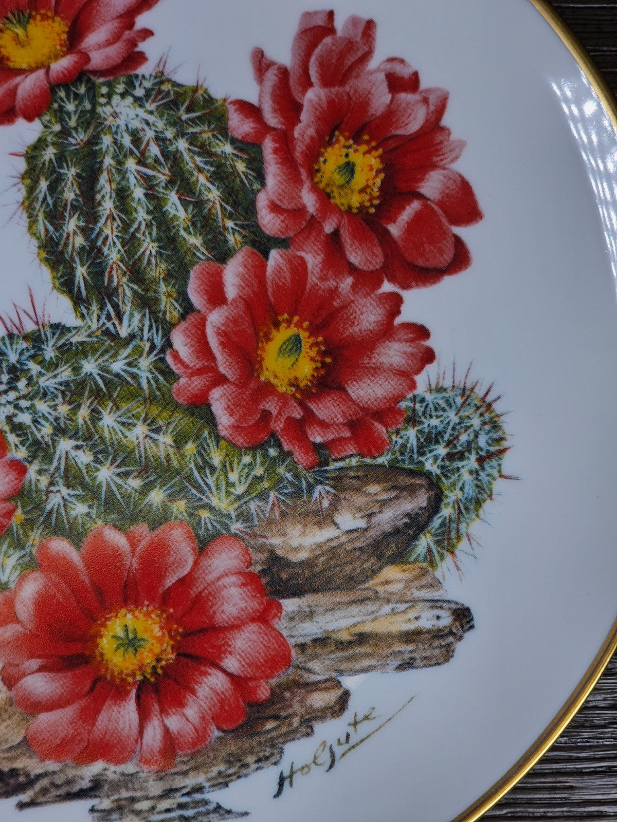 Franklin Mint Sierra Club Wildflowers of the Southwest Bavarian Plate 7.75"