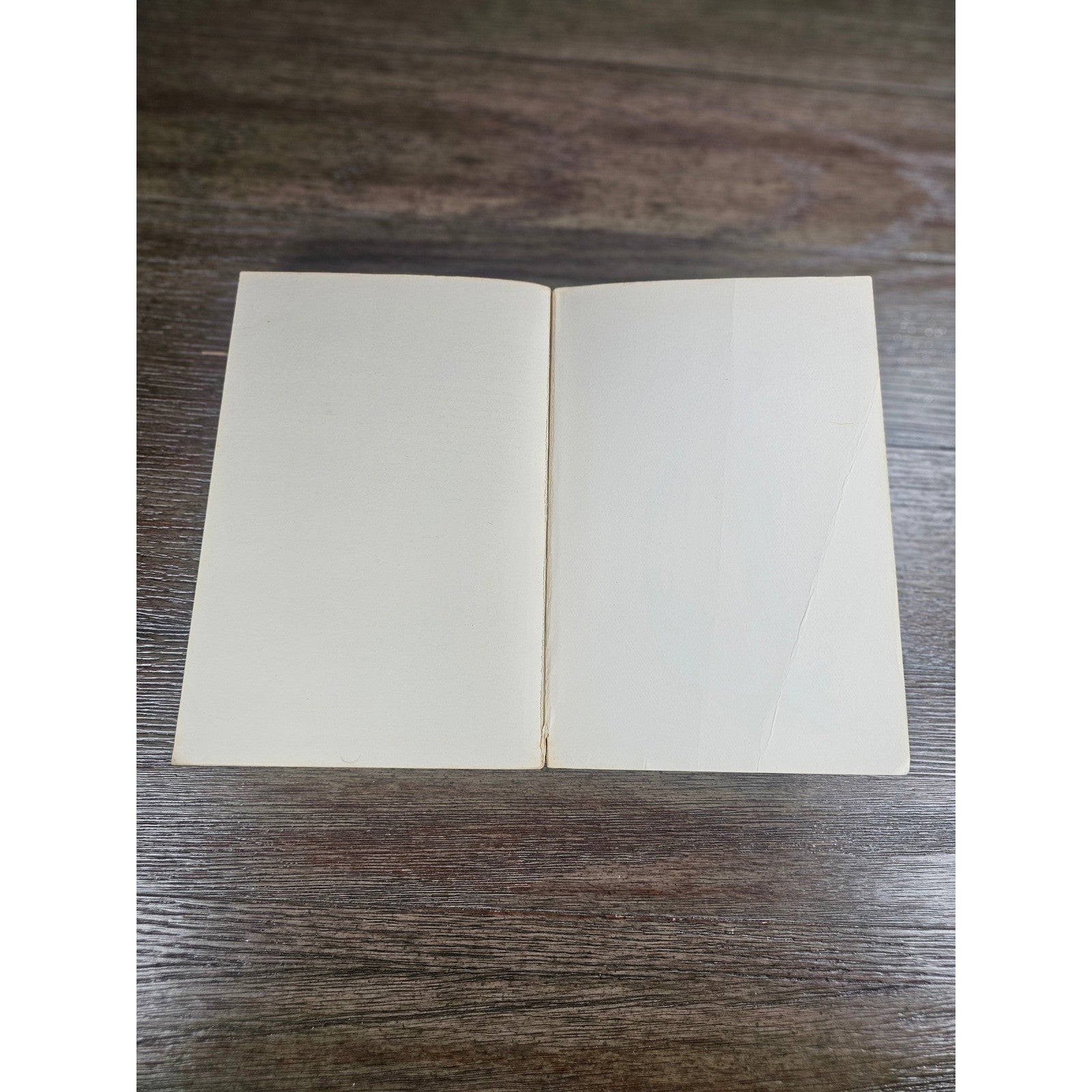 Shakespeare Modern Essays in Criticism 1967 OUP Paperback