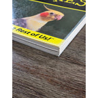 Cockatiels For Dummies by Diane Grindol 2001 Paperback Pet Care